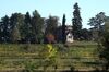 Agroturismo Casali Del Picchio - Winery