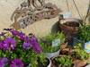 Bed & Breakfast Villa Aigues Vives