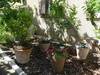 Bed & Breakfast Villa Aigues Vives