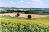 Bed & Breakfast Les Celtes de Gascogne