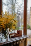 Apartamento Mishilen Detox & Wellness