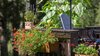 Pension Haus Wildbach