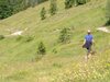 Pension Haus Wildbach