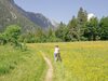 Pension Haus Wildbach