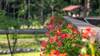 Pension Haus Wildbach