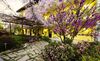 Agroturismo Agriturismo Tra Serra E Lago