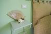 Apartamento Noto Nobilis