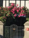 Spring Gardens B&B