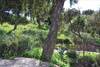 Bed & Breakfast Villa Nais