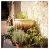 Bed & Breakfast Manoir Le Bigourda