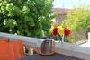 Hotel H�tel Restaurant Vuillot