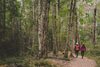 Hostal Lone Moose Backpackers