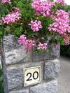 G�te Plein Sud