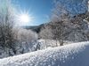 Spacious Holiday Home Near Ski Area In Leogang