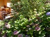 Apartment In Cutigliano With Terrace, Garden, Bbq, Pool
