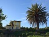 Modern Holiday Home In Francofonte With Private Pool