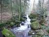 Comfortable Apartment In Rickenbach Near Forest