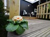 Tasteful Chalet With Veranda In The Veluwe