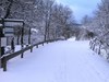 Pleasing Apartment In Dreislar Near Ski Area