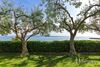 Hotel Villa Pitomcia  - Adults Only