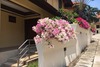 6 Bedroom Twin Villas On Beach Front Resort 11/12