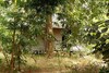 Hotel Aamod Bagh Tola Lodges - Bandhavgarh