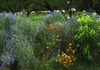 Bed & Breakfast Old Irish Bandb @ Patricks' Pastures Alpaca Ranch