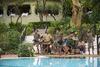 Hotel Lake Manyara Serena Safari