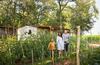 Apartamentos Holiday Homes Istrian Premium Village
