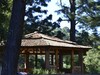 Hotel Bosque La Luna