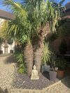 King Canute Apartment - Crown Lettings