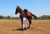 Posada The Ranch - Lodge & Equestrian Center