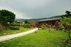 Hotel Coffee Street Homestay