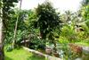 Hotel Elwood Premier Resort Phu Quoc
