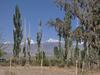 Caba�as El Aguaribay