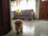 Habitaci�n Privada En Casa Particular