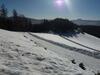 Posada Schwammerlwirt Berg Gasthof