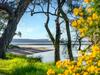 Tapalla Point At Huskisson 4pm Check Out Sundays