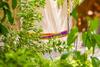 Bamboo Bonaire Boutique Resort
