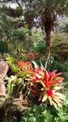 Araras Loft Com Vista Deslumbrante