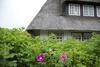 Ferien Domizil Westerh�rn 24
