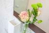 Apartamento Villa Granitz M�wennest