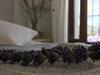 4-bed Andalusian House With Private Pool & Garden!