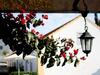 Hostal Quinta Encosta Das Freiras - Turismo Rural