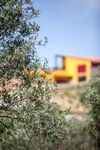 Agroturismo Monte Da Esperanca