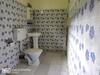 Spring Brook Homestay
