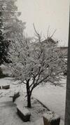Hostal B&B Affittacamere Valchiavenna