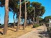 Apartamentos Locazione Turistica D'annunzio - Pit125-2