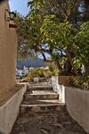 Villa Thetis