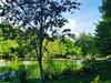 Hotel Naturla G�l Evi